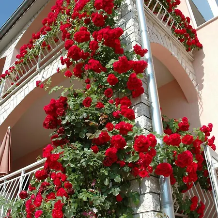 House Maric