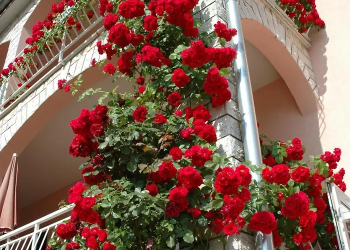 马里奇房屋酒店