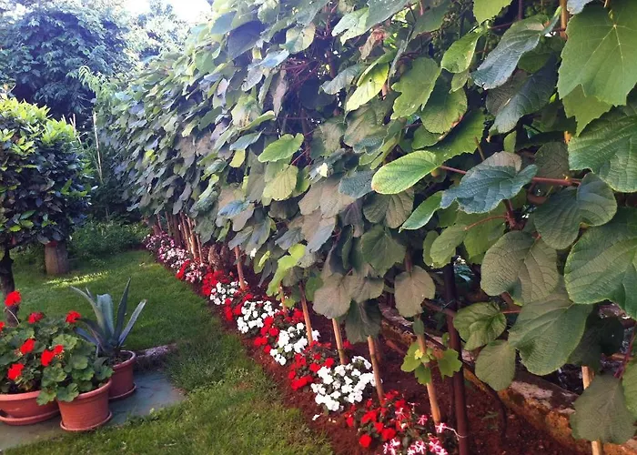 马里奇房屋酒店 *